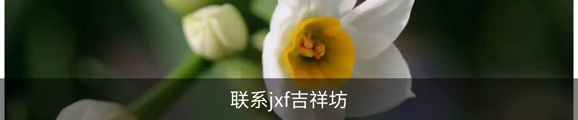 联系jxf吉祥坊